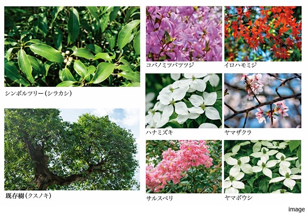 植栽｜ザ・パークハウス芦屋レジデンス
